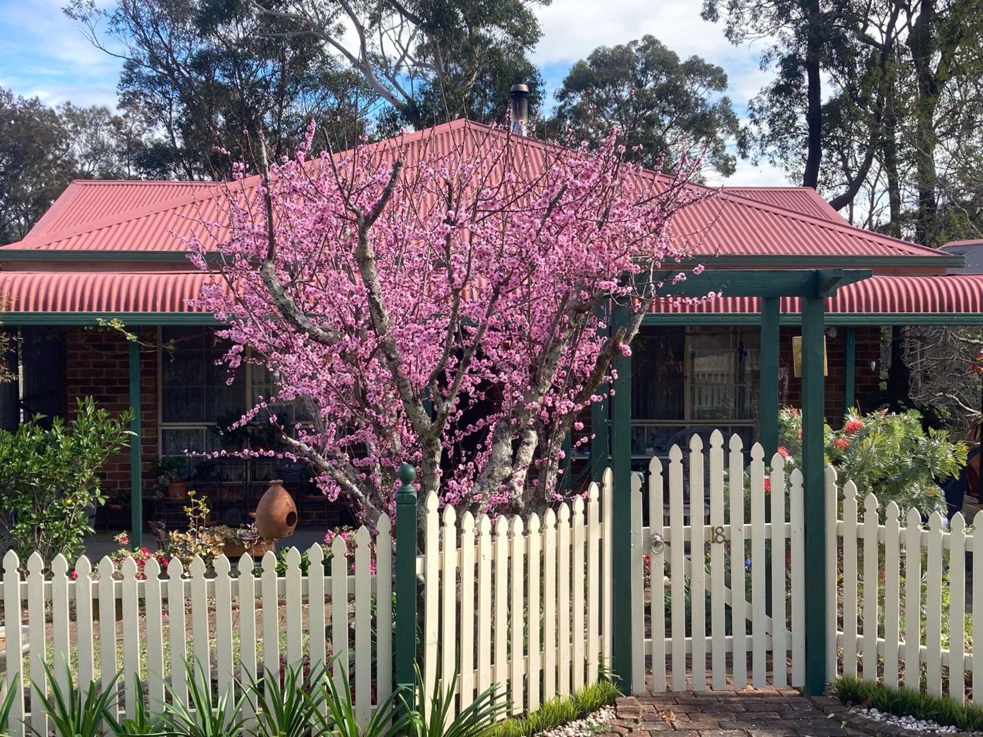 Blue Gum Cottage On Bay Bensville Kültér fotó